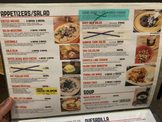 Cactus Burrito by null