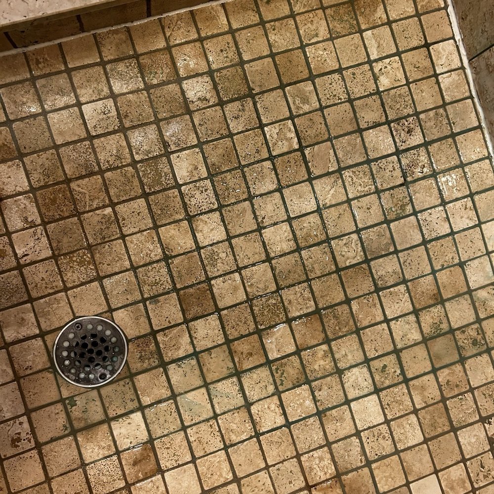 M&m Plumbing Services - Mold on floor - Plumbing Near Me - Perry Hall, Maryland M&m Plumbing Services - Mold on floor - Plumbing Near Me - Perry Hall, Maryland