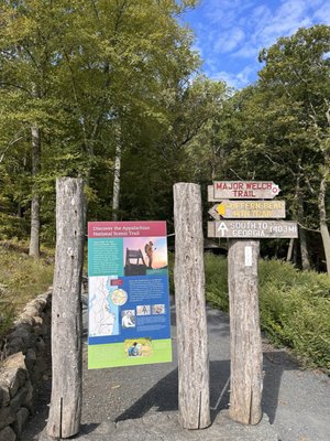 Bear Mountain by null