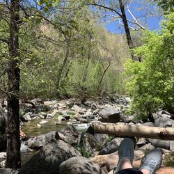 Bootlegger Picnic Area - Relax and listen to the creek