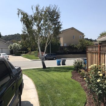 Spartan Tree Service - Tree Services Near Me