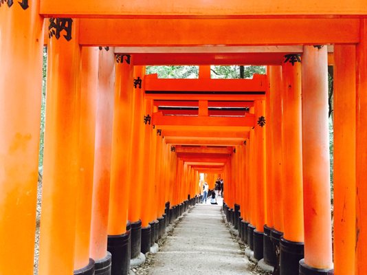 Senbon Torii (Thousand Torii Gates) by null