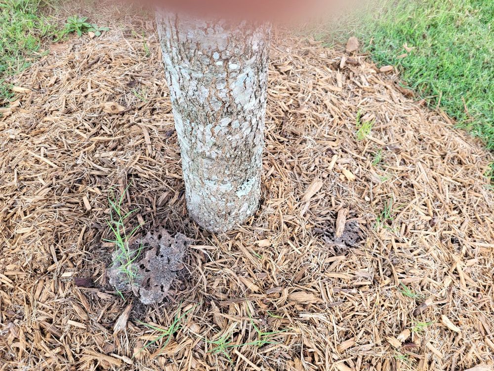 REDWOOD GREER ABNER CREEK ROAD Updated August 2024 Request