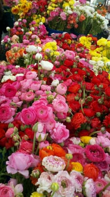 Temescal Farmer's Market by null