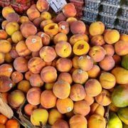 KING FRUIT - Updated July 2025 - 42 Photos - 6623 18th Ave