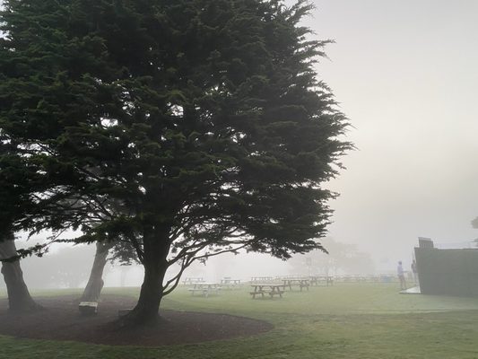 Cypress Point by null