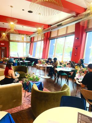 OKAY Cannabis- Wheeling by null