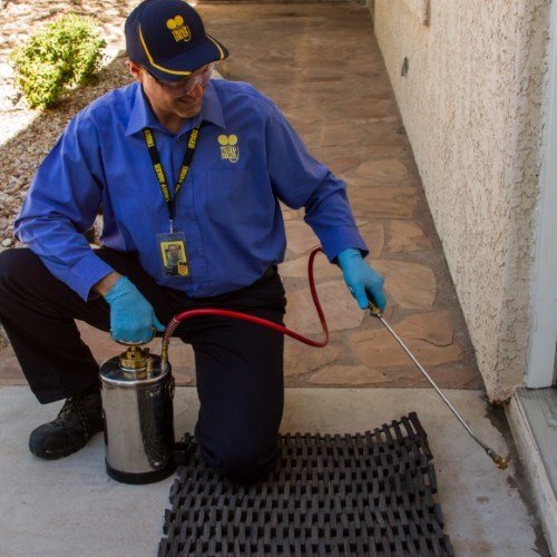 TRULY NOLEN PEST & TERMITE CONTROL ST. AUGUSTINE Updated May 2024