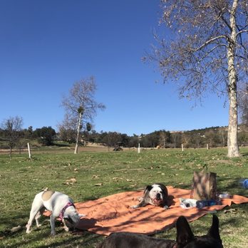 Bates Nut Farm - even dogs need to get away from the city - Specialty Food Near Me - Valley Center, California Bates Nut Farm - even dogs need to get away from the city - Specialty Food Near Me - Valley Center, California