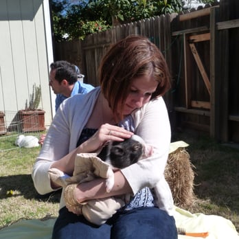 Pony Ranch Parties - Petting Zoos Near Me