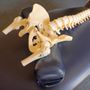 Balance Chiropractic