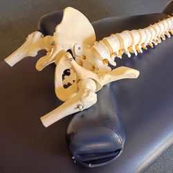 Balance Chiropractic - Showing SOT block placement for alignment