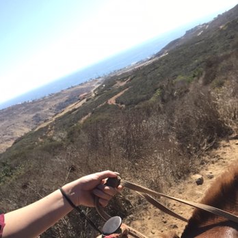 Rancho Los Bandidos - View of Ensenada from above. (Picture didn't do justice for the beauty you visualize from the ride) - Horseback Riding Near Me - Ensenada, BCN