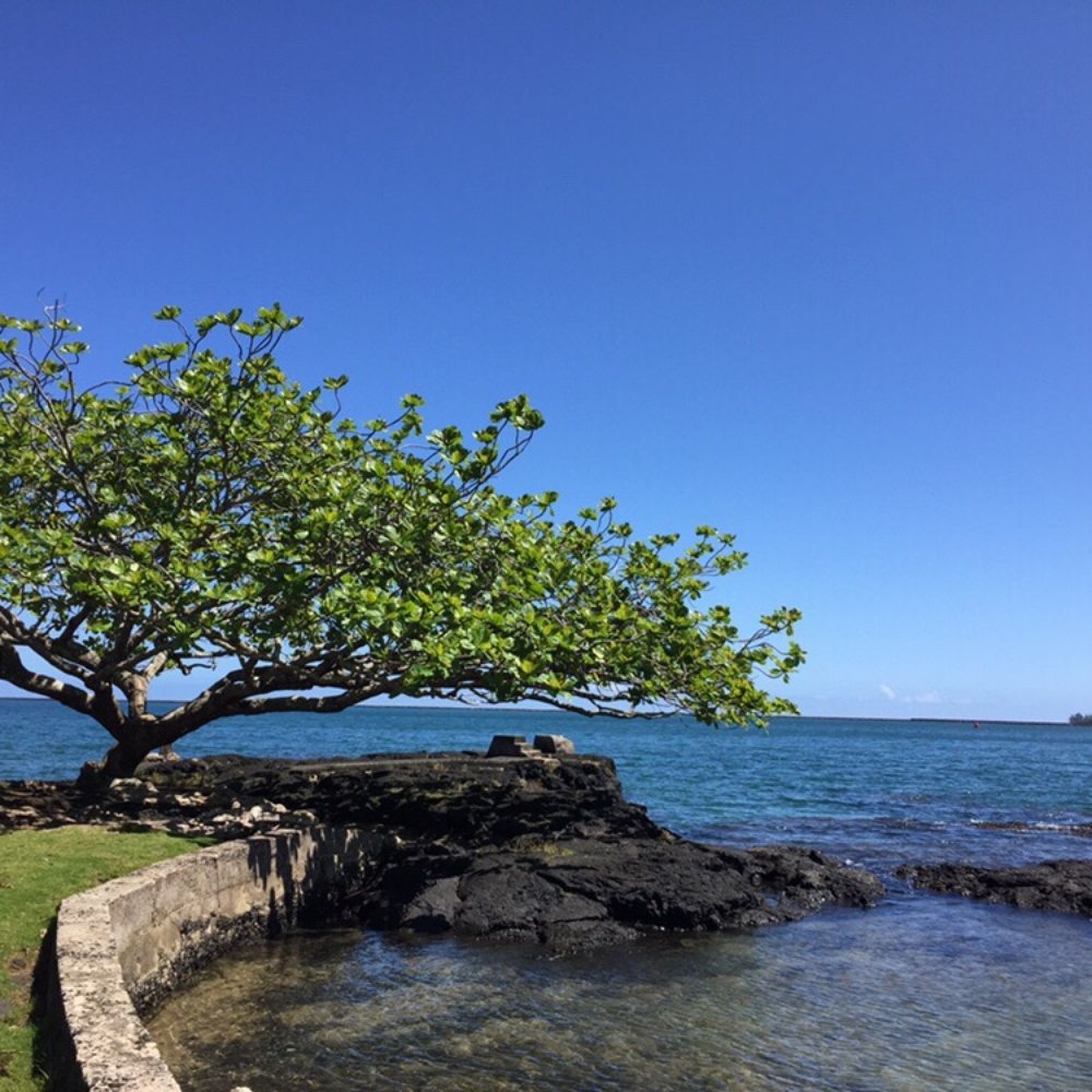 Coconut Island - Parks Near Me - Hilo, Hawaii Coconut Island - Parks Near Me - Hilo, Hawaii