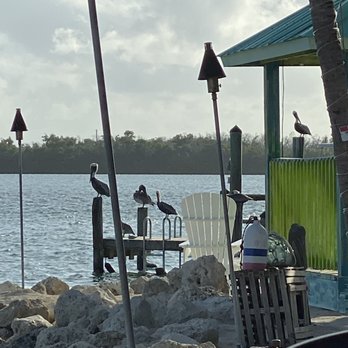 Lazy Days Restaurant - Seafood Near Me - Islamorada, Florida Lazy Days Restaurant - Seafood Near Me - Islamorada, Florida