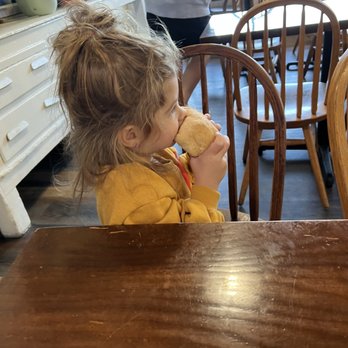 Brooklyn Baking - Harlow and her Roll - Donuts Near Me - Waterbury, Connecticut Brooklyn Baking - Harlow and her Roll - Donuts Near Me - Waterbury, Connecticut