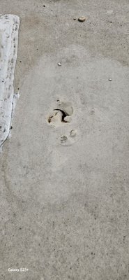 Nashville KOA Resort by null