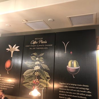 Peet's Coffee - The fun walls at Peet's. - Coffee & Tea Near Me - Studio City, California