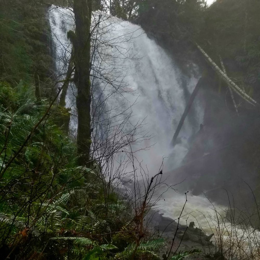 University Falls - Hiking Near Me - Gales Creek, Oregon University Falls - Hiking Near Me - Gales Creek, Oregon