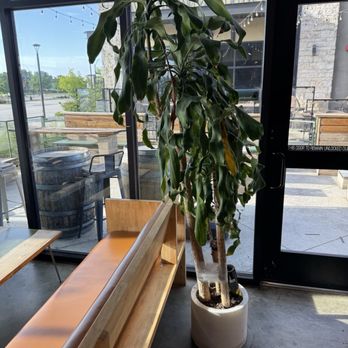 Chill Coffee and Wine Bar - Needs water - Coffee & Tea Near Me - Arlington, Texas