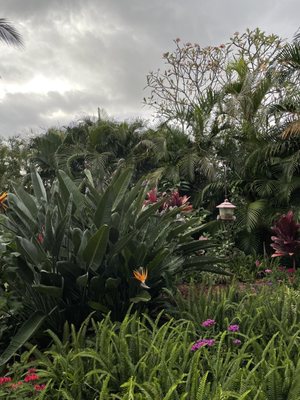 Pineapple Inn Maui by null