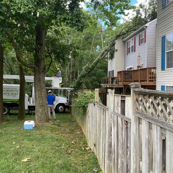 Milton's Tree Care Services - Tree Services Near Me Milton's Tree Care Services - Tree Services Near Me