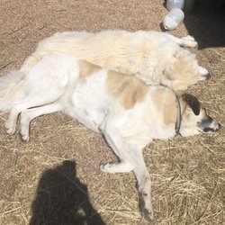 TC Woods - Ana and Bajr at the end of a work day