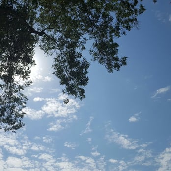 Finkbiner Park - view underneath one of the trees - Playgrounds Near Me - Glendora, California Finkbiner Park - view underneath one of the trees - Playgrounds Near Me - Glendora, California