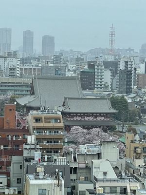 THE GATE HOTEL Kaminarimon by HULIC by null