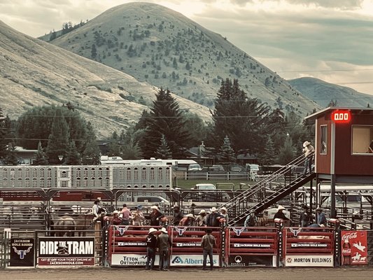 Jackson Hole Rodeo by null