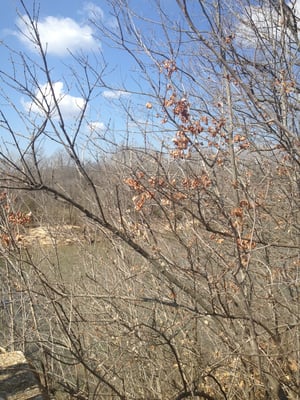 Route 66 State Park by null