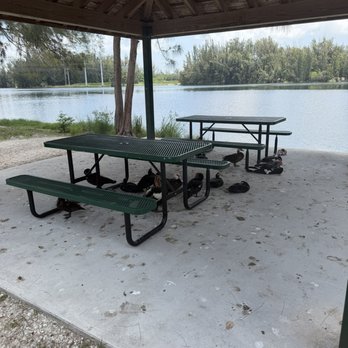 Wolf Lake Park - A lot of ducks - Parks Near Me - Davie, Florida Wolf Lake Park - A lot of ducks - Parks Near Me - Davie, Florida