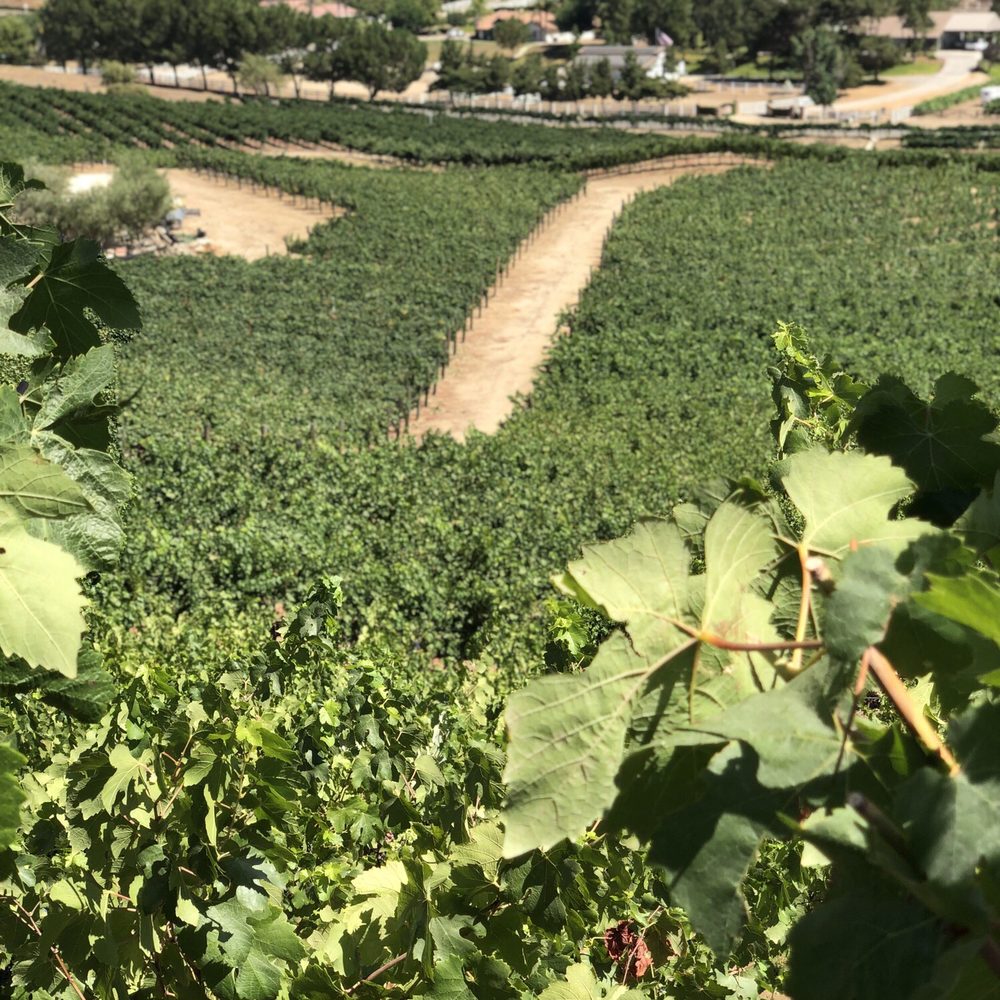 Oak Mountain Winery - Wineries Near Me - Temecula, California Oak Mountain Winery - Wineries Near Me - Temecula, California