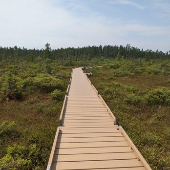 Orono Bog Boardwalk - Parks Near Me - Bangor, Maine Orono Bog Boardwalk - Parks Near Me - Bangor, Maine