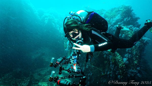 Dive Ninja Expeditions by null