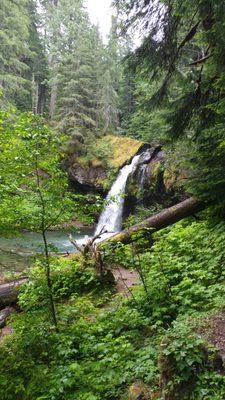 Gifford Pinchot National Forest by null