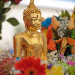 Wat Pa Thai Buddhist Temple - Watarizona Thammaram