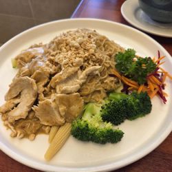 Chicken, noodles with peanut sauce and vegetables