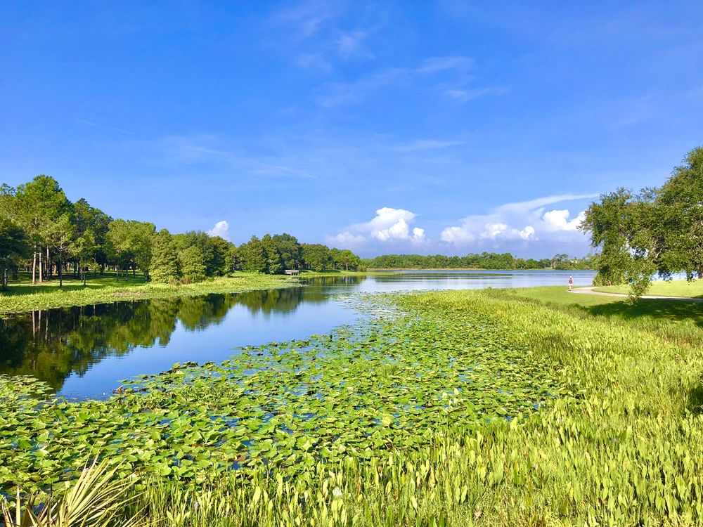 Walsingham Park Image