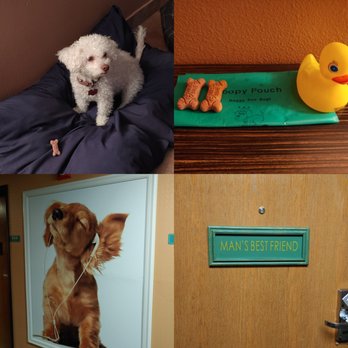 Prospector Hotel & Gambling Hall - My dog and misc. Pics - Hotels Near Me - Ely, Nevada
