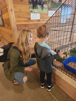 Purina Farms by null