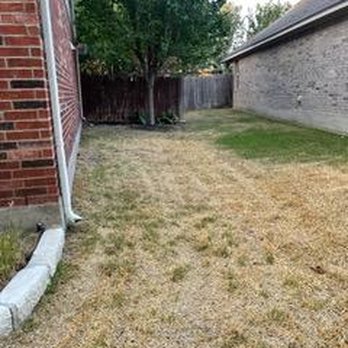 Agave LD - Landscape Architects or Designers Near Me - Georgetown, Texas