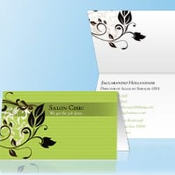 5 Point Print Media - Folding Business Cards