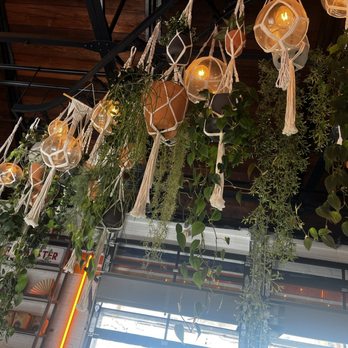 Muchacho - Bar foliage - Tacos Near Me - Atlanta, Georgia Muchacho - Bar foliage - Tacos Near Me - Atlanta, Georgia