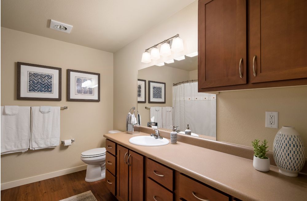 AFFINITY AT LACEY Updated September 2024 18 Photos 6950 Birdseye