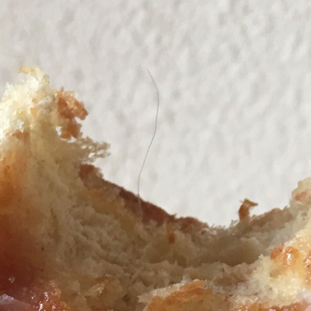 Mary's Donuts - Hair in my apple fritter - Donuts Near Me - Santee, California Mary's Donuts - Hair in my apple fritter - Donuts Near Me - Santee, California