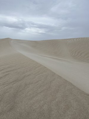 Lancelin Sand Dunes by null