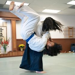 Tenshinkai Aikido Federation