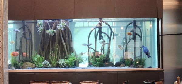 Riverside Grille by null