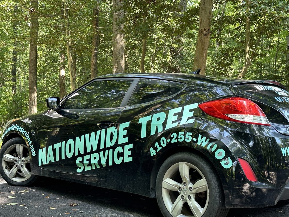 NATIONWIDE TREE SERVICE Updated October 2024 104 Photos & 35